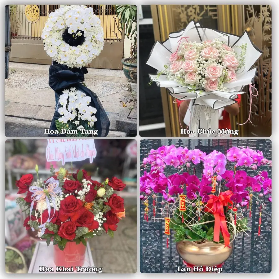 Tư vấn chọn hoa theo từng dịp tại Hoà Thuận, Quảng Hòa