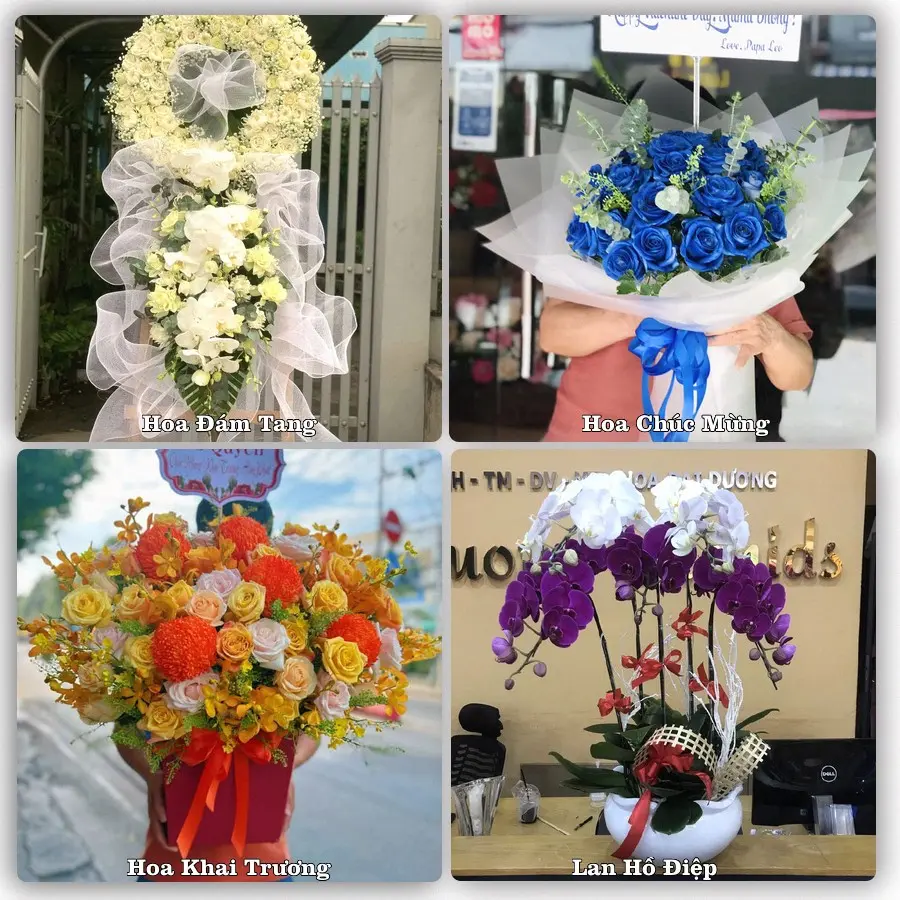 Mẫu hoa tươi dành cho khách đặt hoa tại Hoàn Lão, Bố Trạch