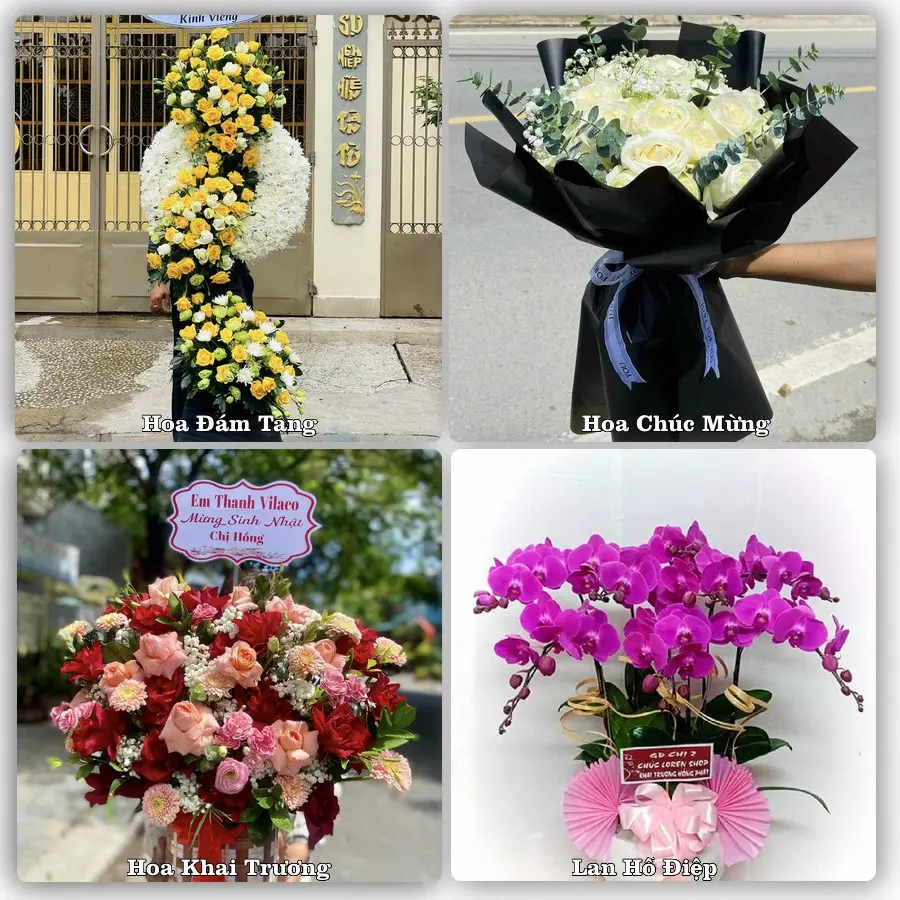 Tư vấn chọn hoa theo từng dịp tại Hoàn Lão, Bố Trạch