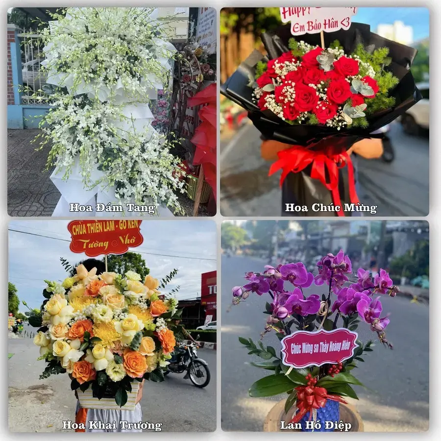 Shop hoa tươi Hồi Xuân, Quan Hóa – Đặt online, giao tận nơi