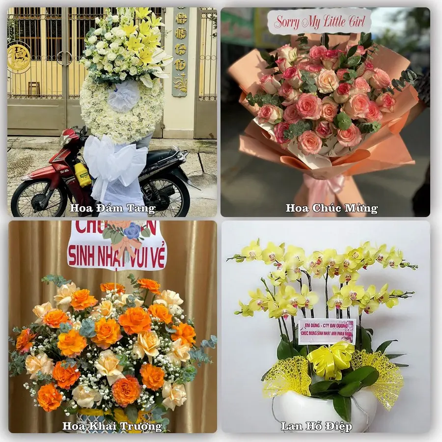 Mẫu hoa tươi dành cho khách đặt hoa tại Hợp Châu, Tam Đảo