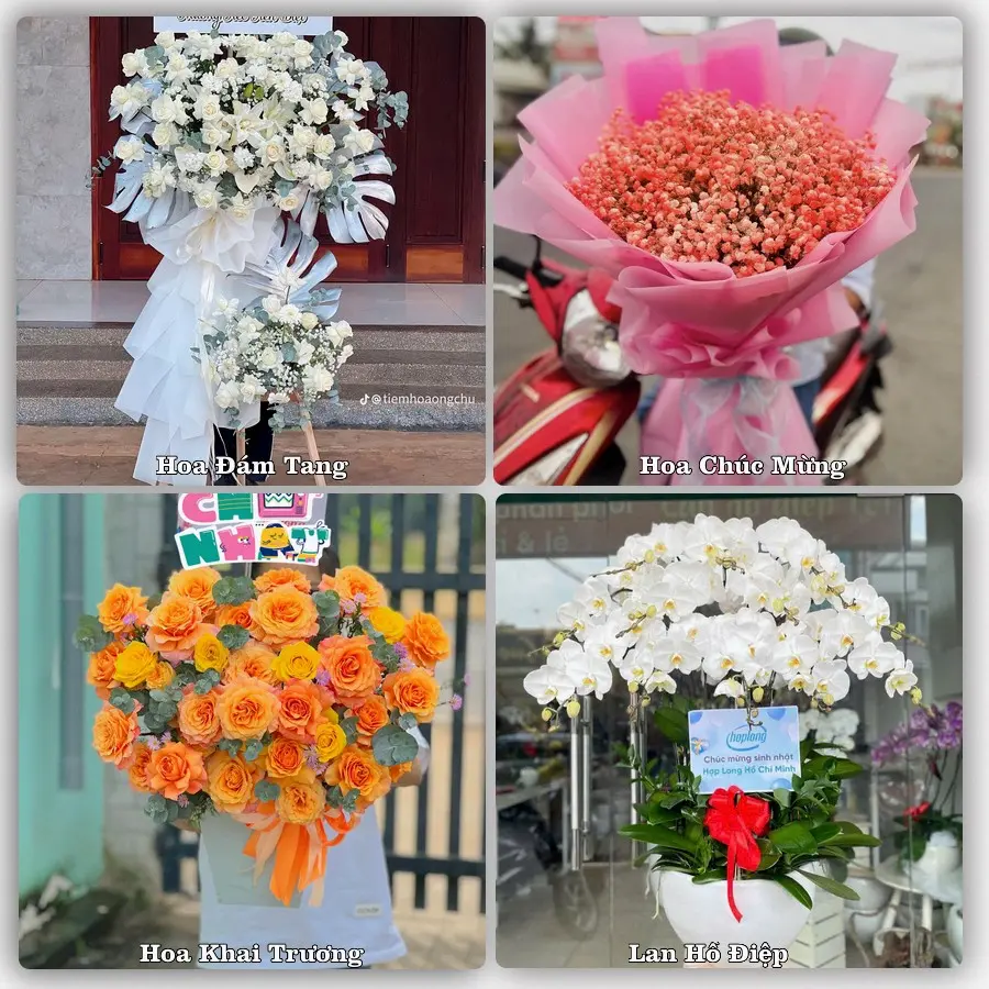Tư vấn chọn hoa theo từng dịp tại Hợp Châu, Tam Đảo