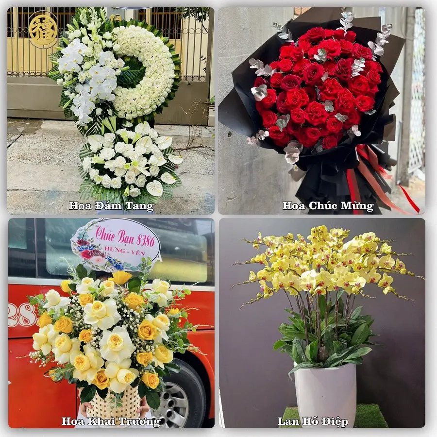 Tư vấn chọn hoa theo từng dịp tại Hợp Hòa, Tam Dương