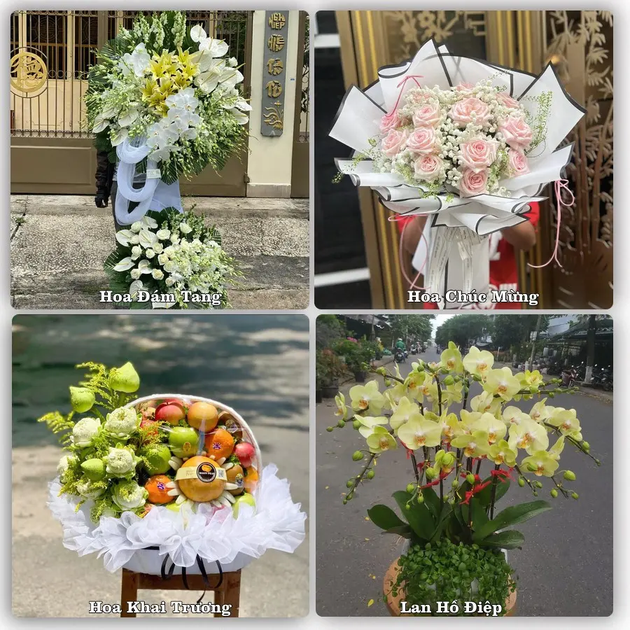 Mẫu hoa tươi dành cho khách đặt hoa tại Hương Sơn, Phú Bình