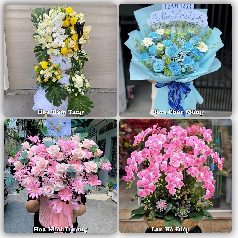 Tư vấn chọn hoa theo từng dịp tại Hương Sơn, Phú Bình