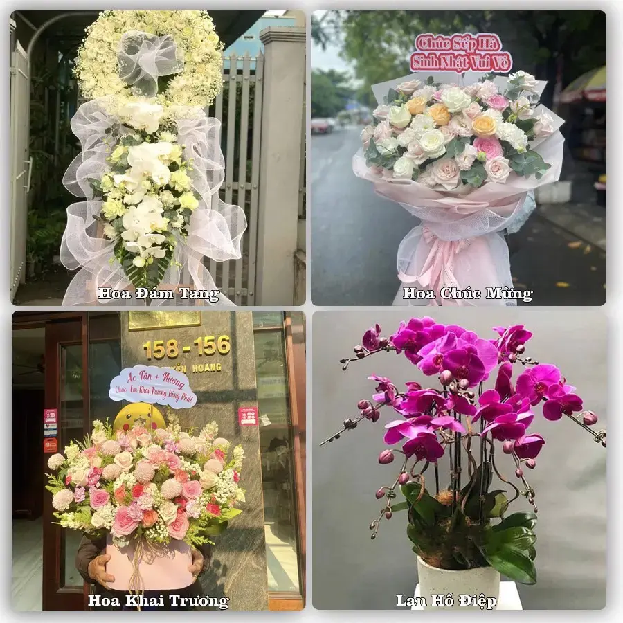 Shop hoa tươi Ít Ong, Mường La – Giao tận nơi trong 2 giờ
