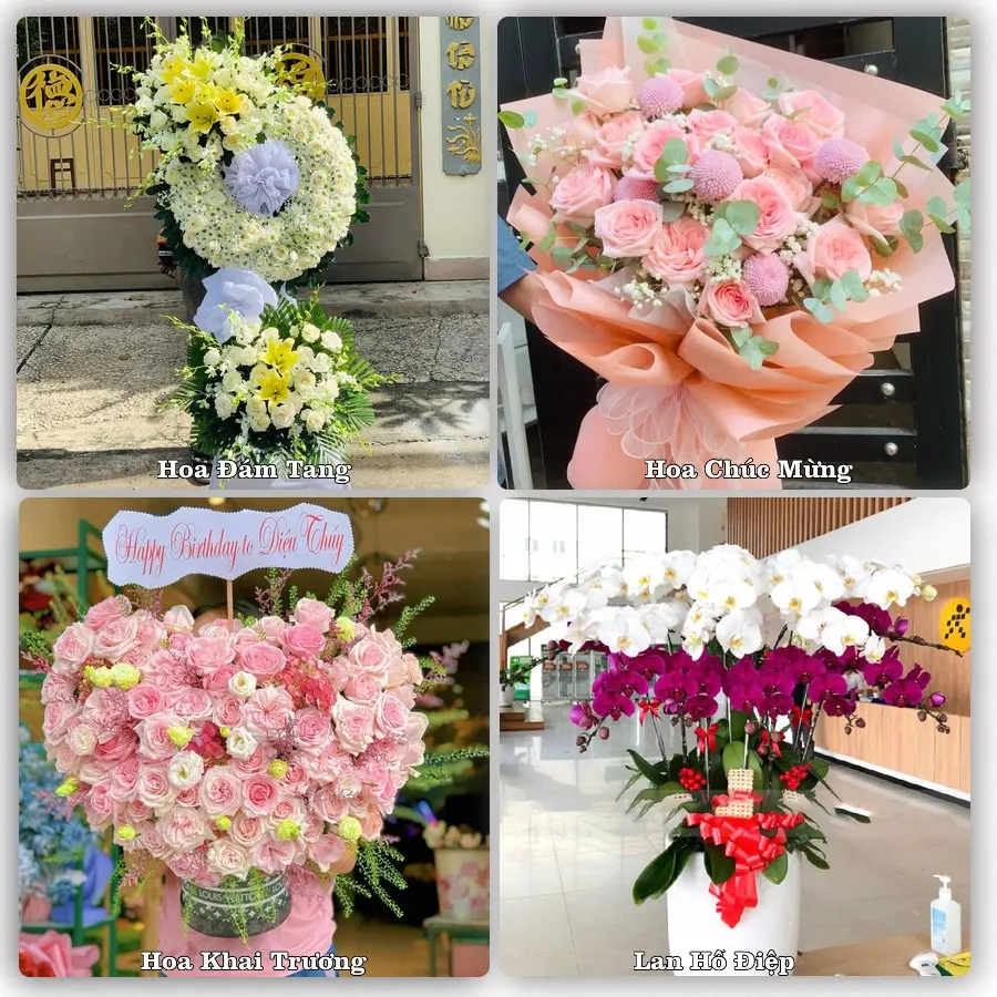 Tư vấn chọn hoa theo từng dịp tại Ít Ong, Mường La