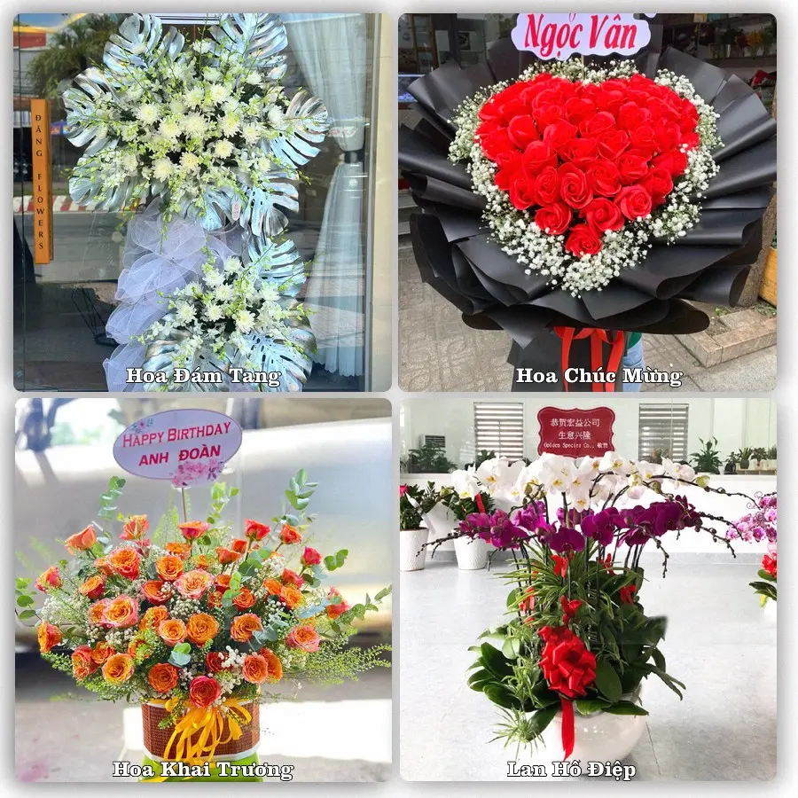 Tư vấn chọn hoa theo từng dịp tại Khánh Vĩnh