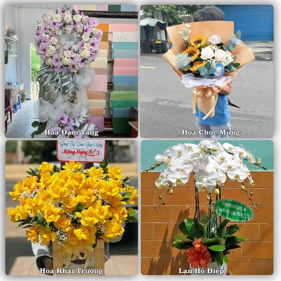 Mẫu hoa tươi dành cho khách đặt hoa tại Khe Sanh, Hướng Hóa