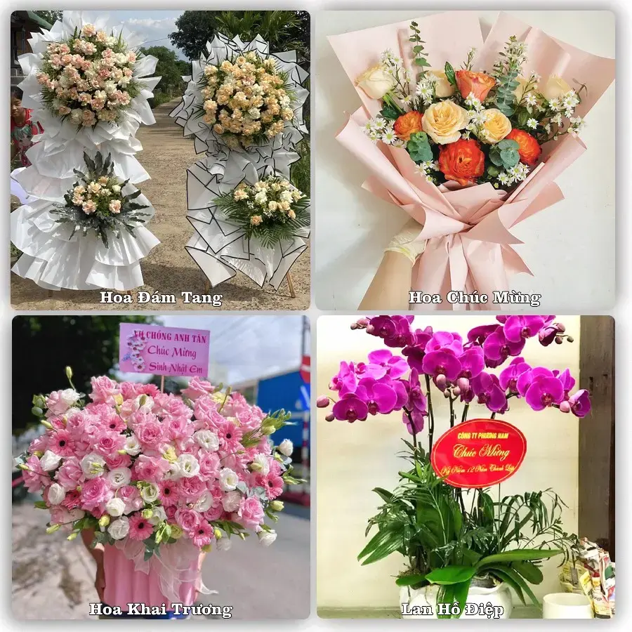 Shop hoa tươi Khe Tre, Nam Đông – Nhận giao hoa trong ngày