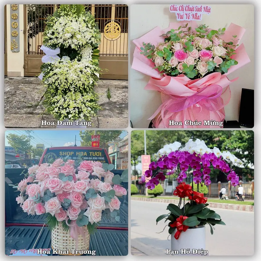 Tư vấn chọn hoa theo từng dịp tại Khe Tre, Nam Đông