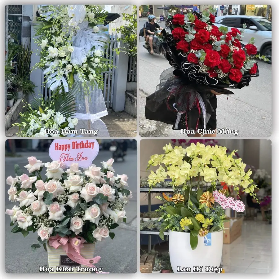Mẫu hoa tươi dành cho khách đặt hoa tại Kiến Giang, Lệ Thủy