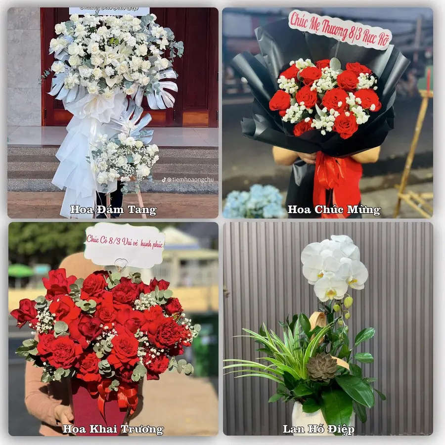 Tư vấn chọn hoa theo từng dịp tại Kim Sơn, Quế Phong