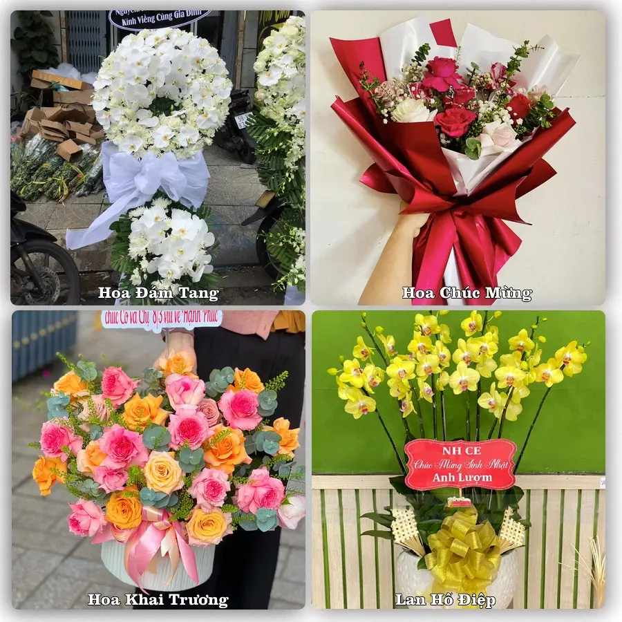 Mẫu hoa tươi dành cho khách đặt hoa tại Krông Klang, Đa Krông