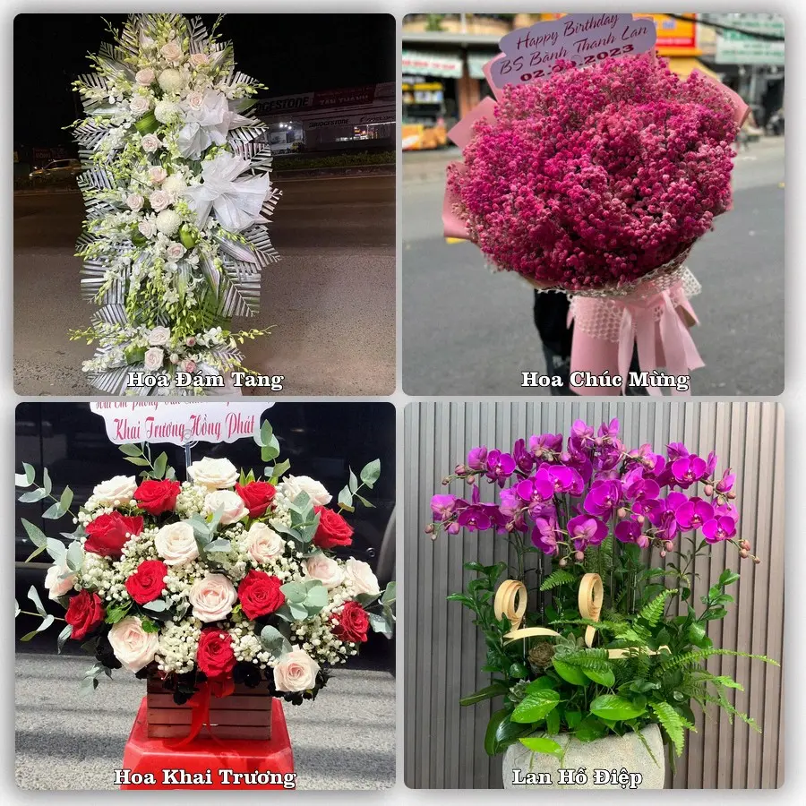 Tư vấn chọn hoa theo từng dịp tại La Hai, Đồng Xuân