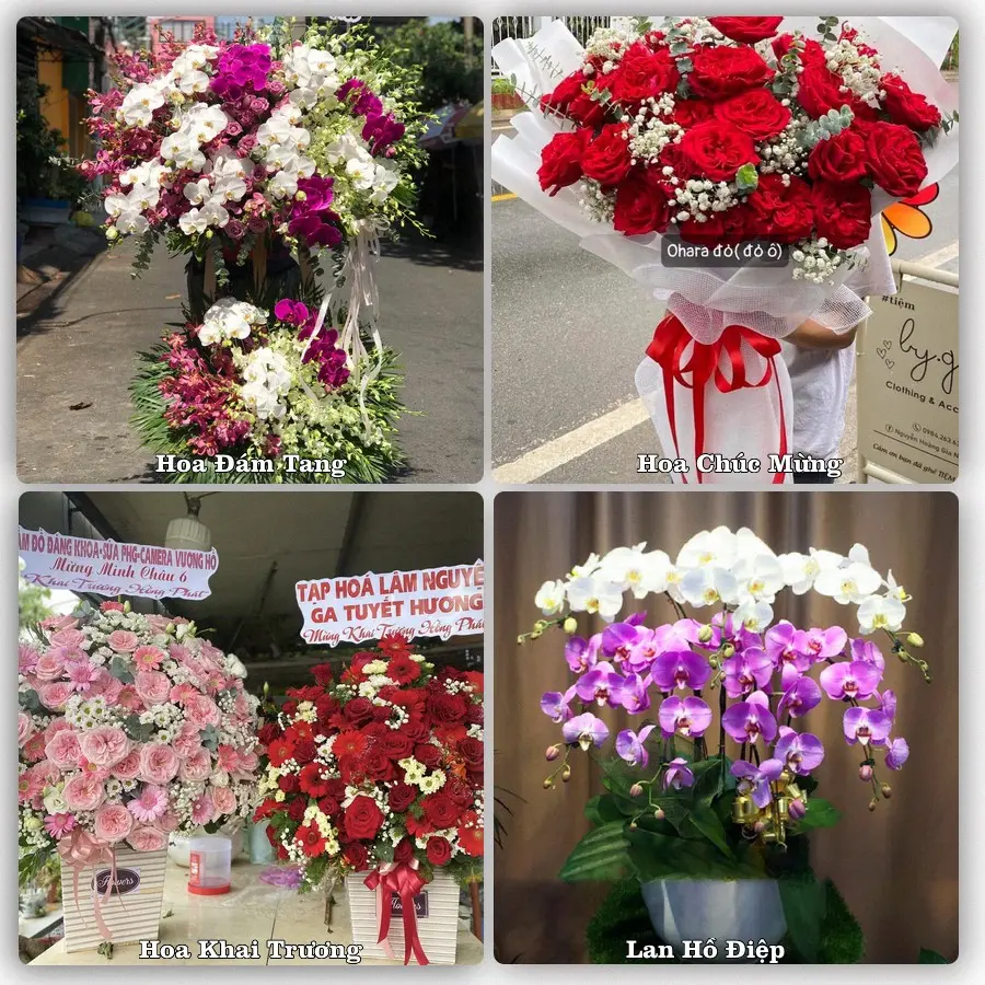 Tư vấn chọn hoa theo từng dịp tại Lăng Can, Lâm Bình