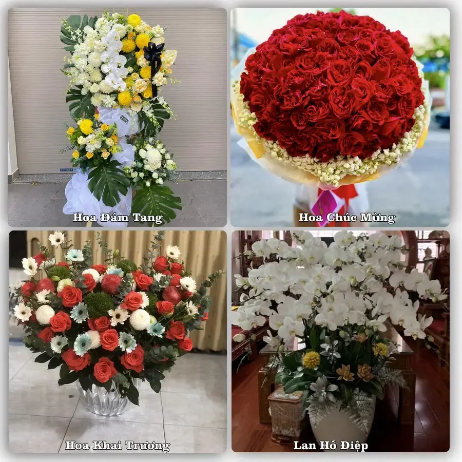 Shop hoa tươi Lang Chánh – Nhận giao hoa trong ngày