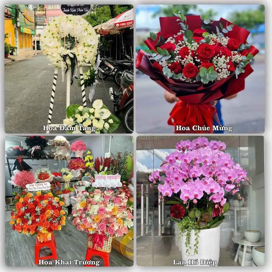 Tư vấn chọn hoa theo từng dịp tại Lang Chánh