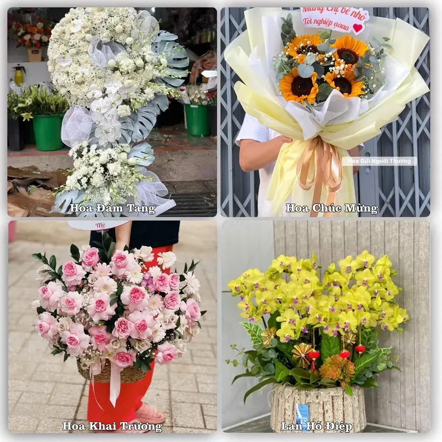 Shop hoa tươi Lăng Cô, Phú Lộc – Tư vấn chọn mẫu theo dịp