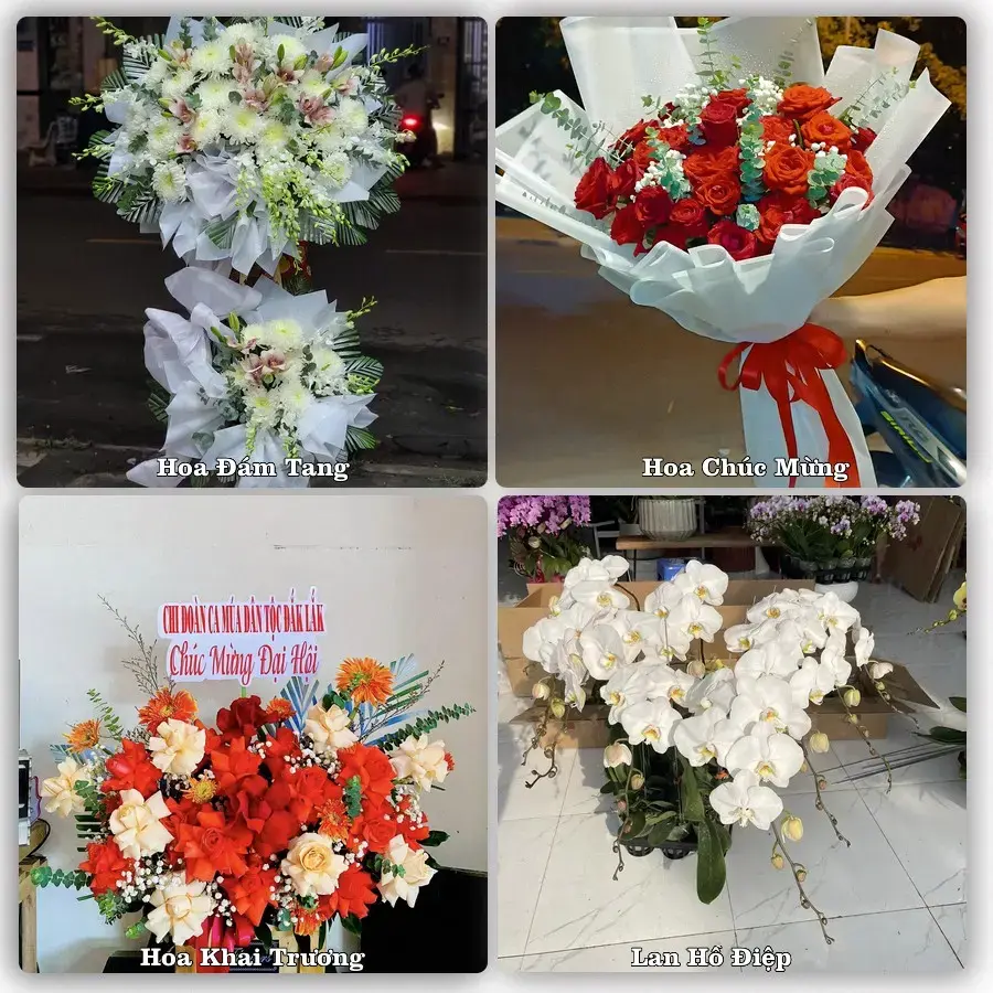 Tư vấn chọn hoa theo từng dịp tại Lăng Cô, Phú Lộc