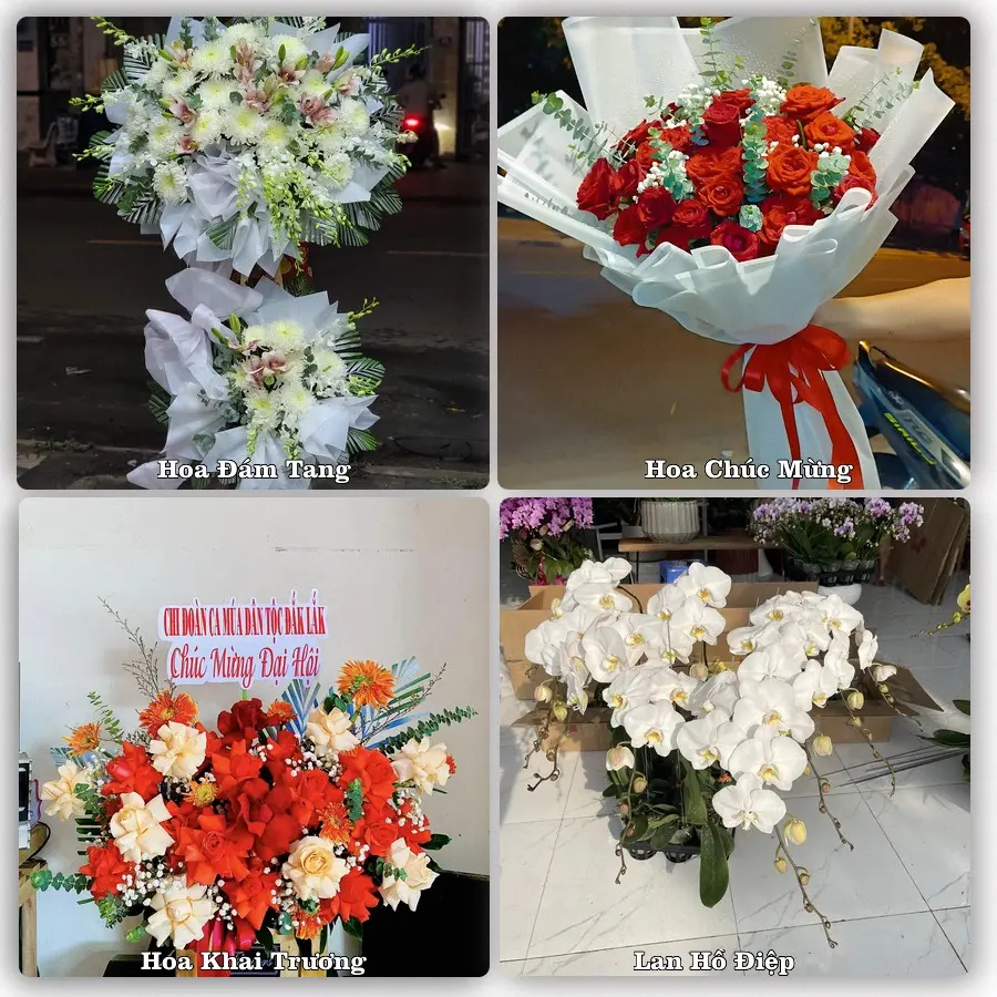 Tư vấn chọn hoa theo từng dịp tại Lăng Cô, Phú Lộc