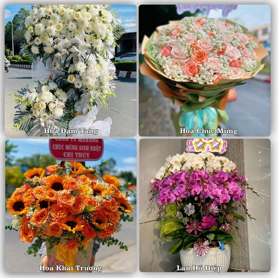 Mẫu hoa tươi dành cho khách đặt hoa tại Lập Thạch