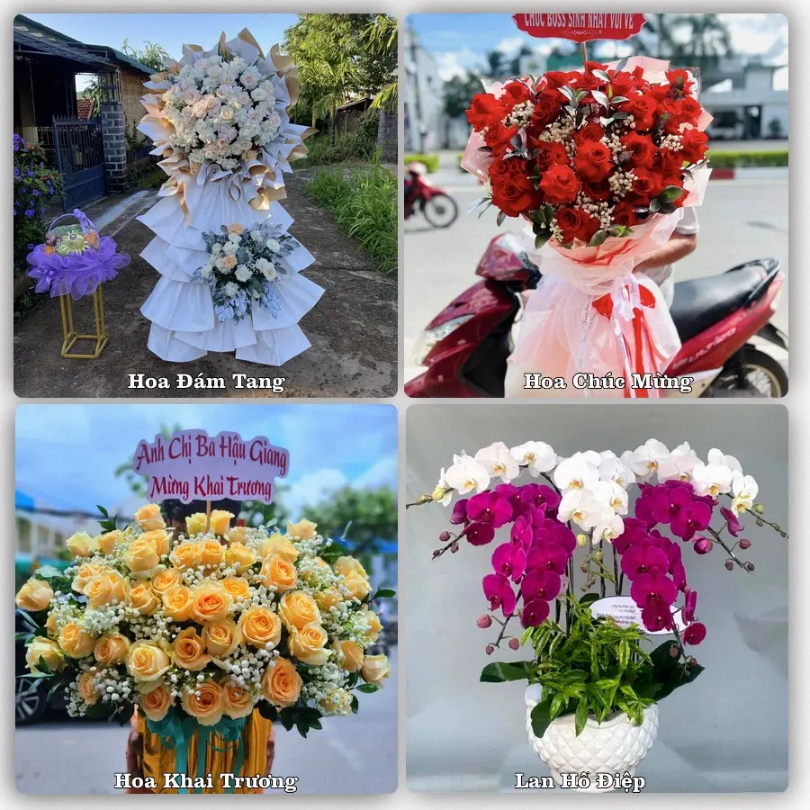Tư vấn chọn hoa theo từng dịp tại Liên Quan, Thạch Thất