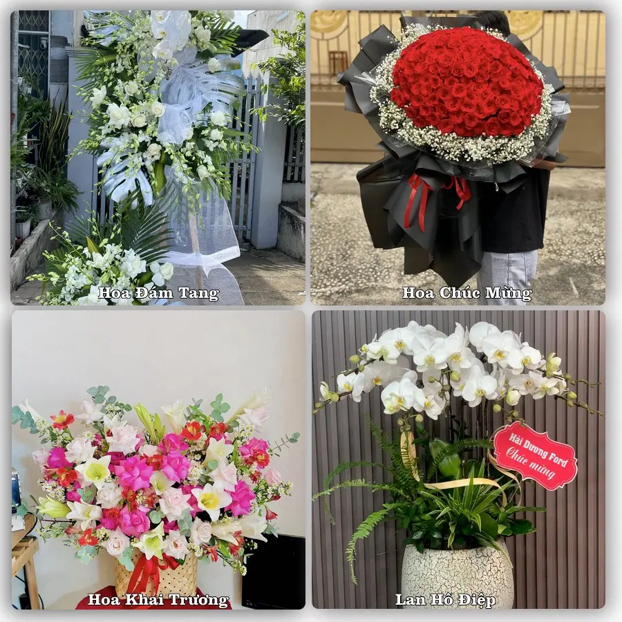 Dịch vụ đặt hoa online giao tận nơi tại Lương Bằng, Kim Động