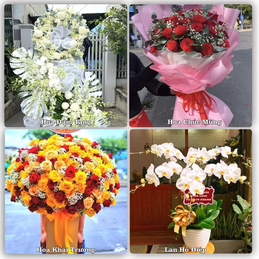 Mẫu hoa tươi dành cho khách đặt hoa tại Lương Sơn, Bắc Bình