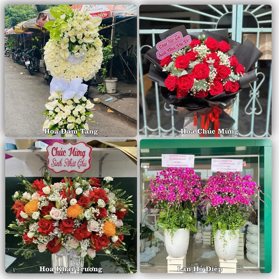 Dịch vụ đặt hoa online giao tận nơi tại Lương Sơn, Bắc Bình