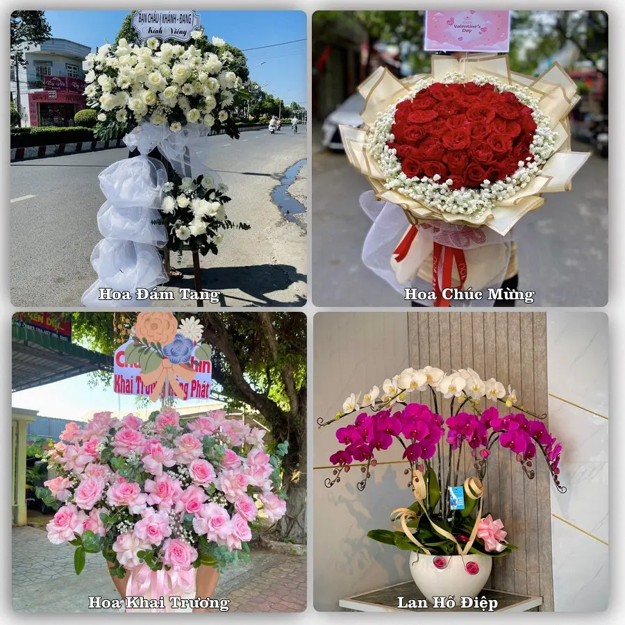 Tư vấn chọn hoa theo từng dịp tại Ma Lâm, Hàm Thuận Bắc