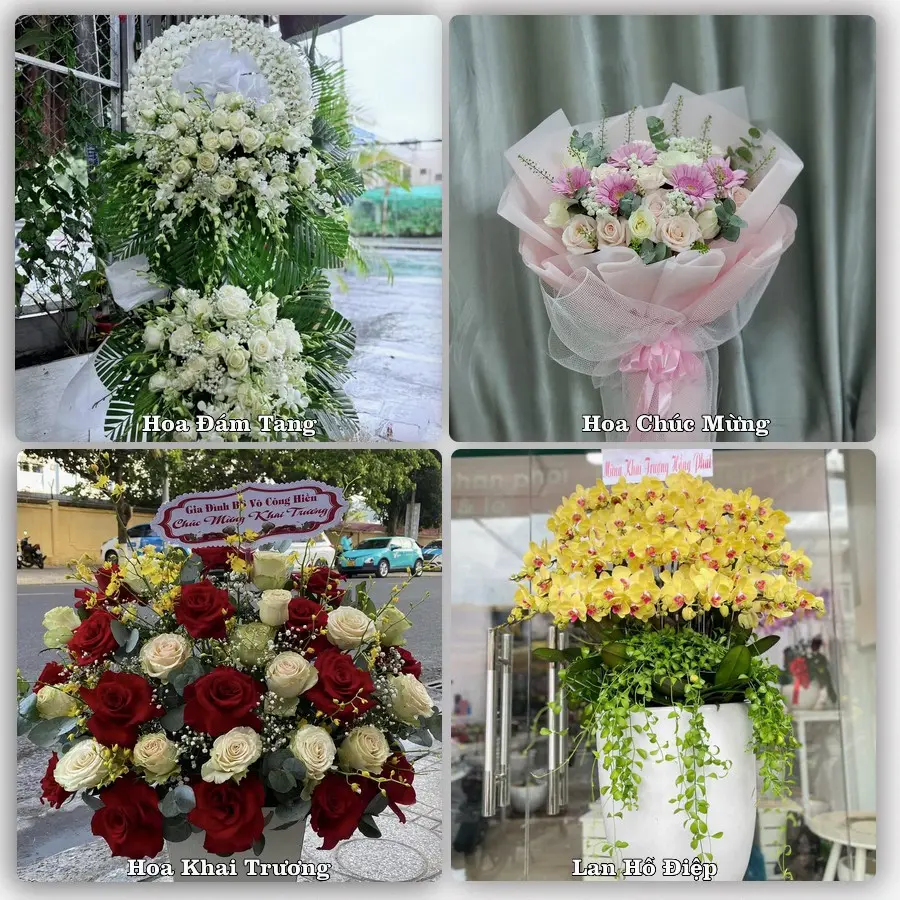 Tư vấn chọn hoa theo từng dịp tại Mai Châu