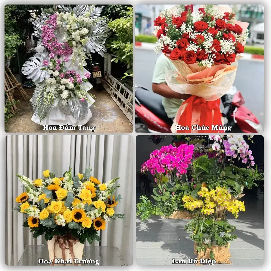 Shop hoa tươi Măng Đen, Kon Plông – Đặt online, giao tận nơi