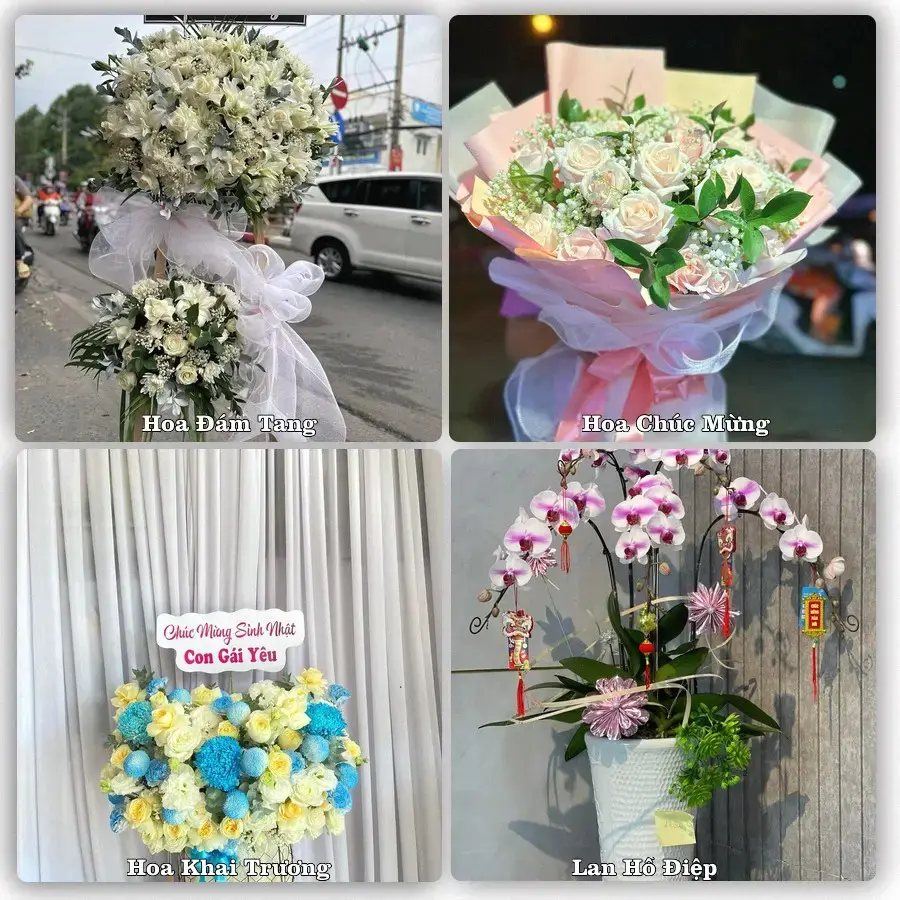 Tư vấn chọn hoa theo từng dịp tại Măng Đen, Kon Plông