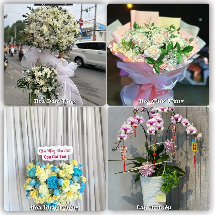 Tư vấn chọn hoa theo từng dịp tại Măng Đen, Kon Plông