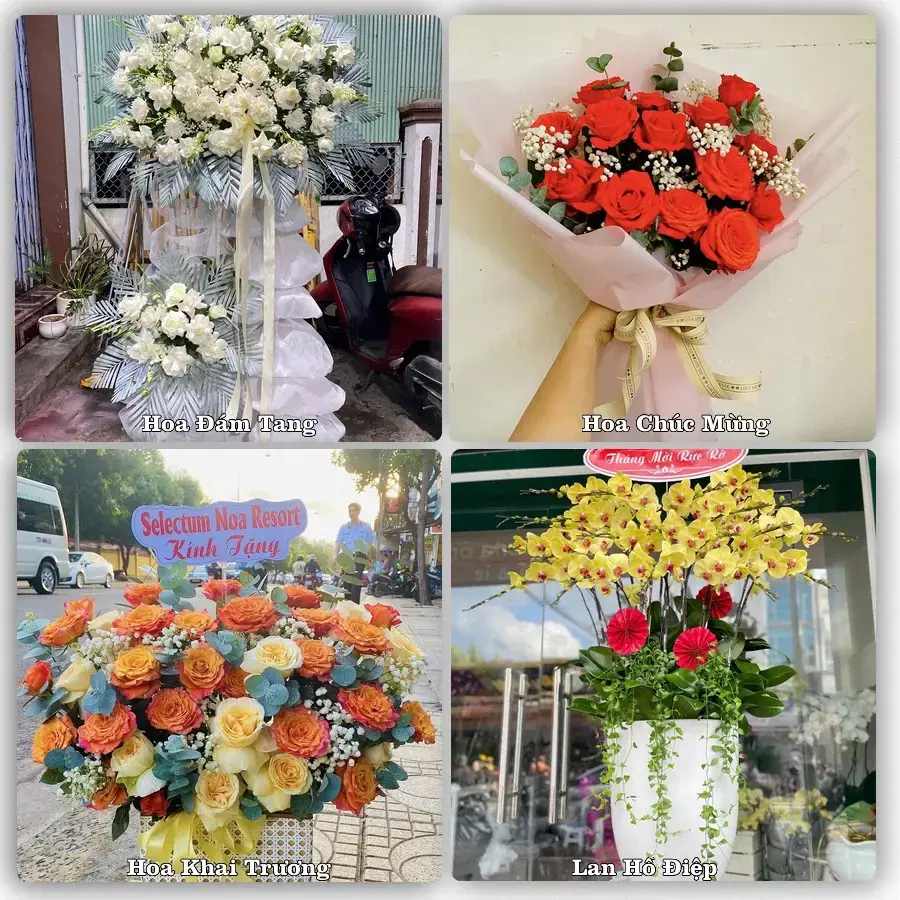 Shop hoa tươi Mèo Vạc – Tư vấn chọn mẫu theo dịp