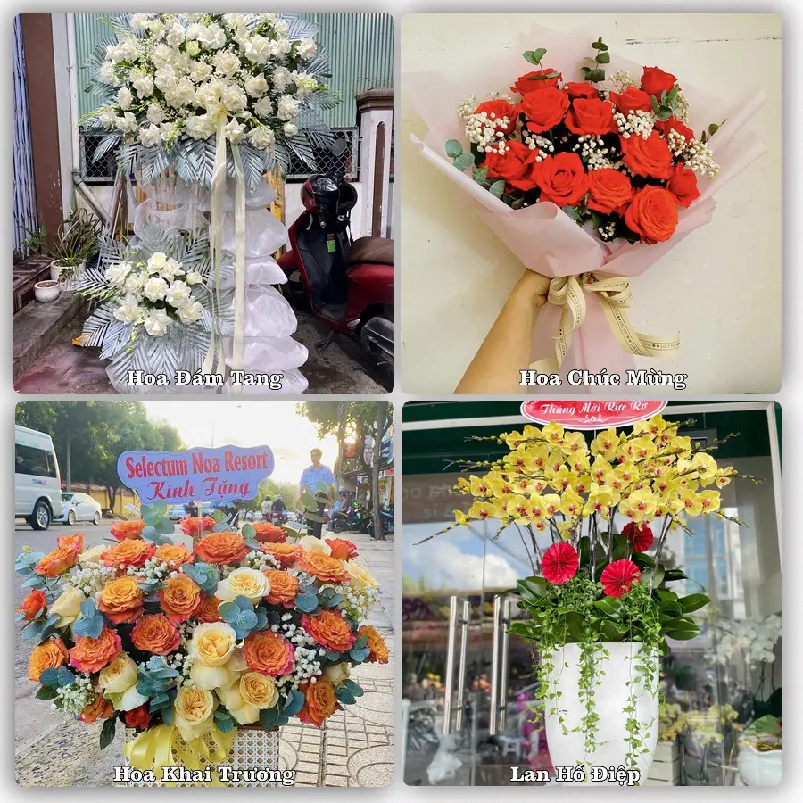 Mẫu hoa tươi dành cho khách đặt hoa tại Mèo Vạc