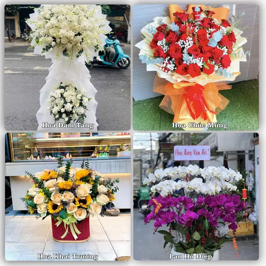 Tư vấn chọn hoa theo từng dịp tại Mèo Vạc