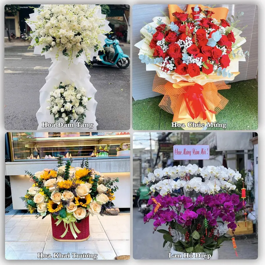 Tư vấn chọn hoa theo từng dịp tại Mèo Vạc