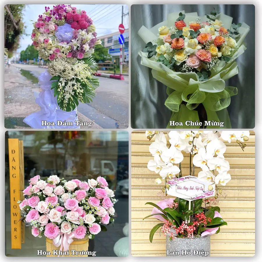 Mẫu hoa tươi dành cho khách đặt hoa tại Mộc Châu