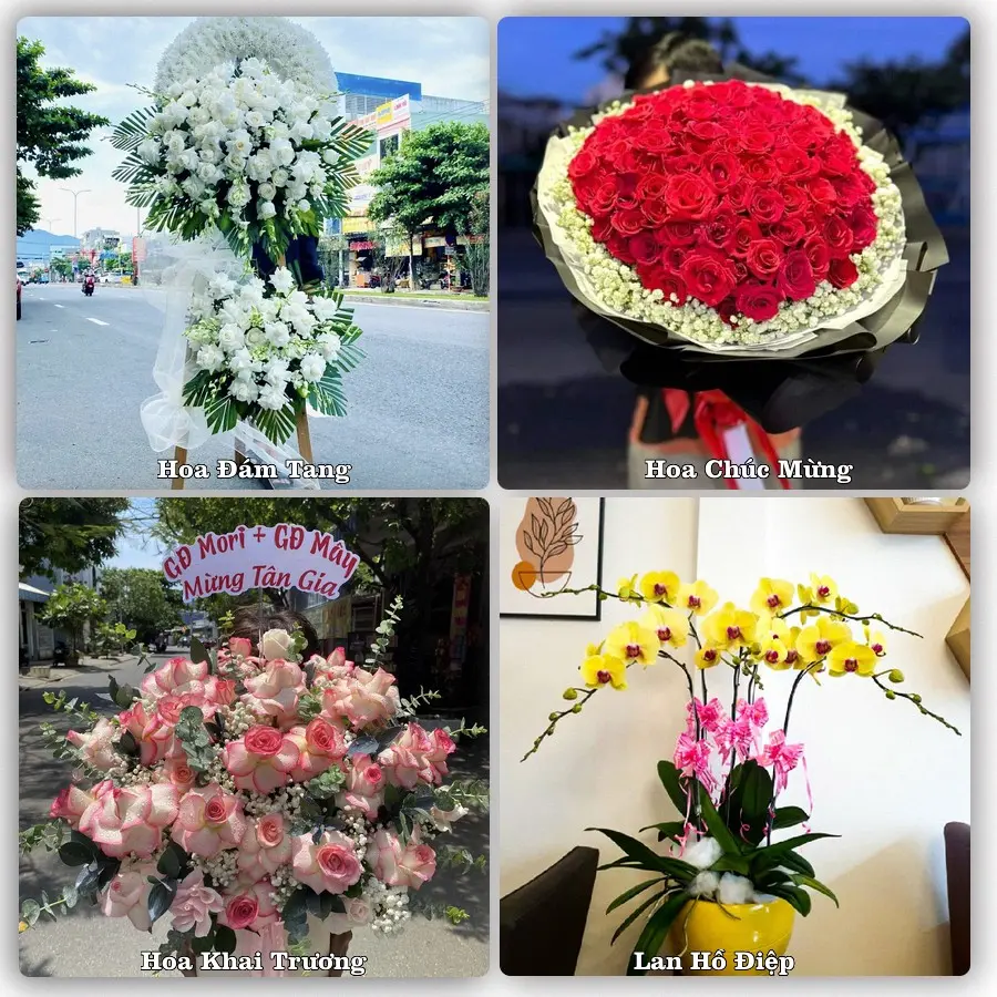 Mẫu hoa tươi dành cho khách đặt hoa tại Mường Chà