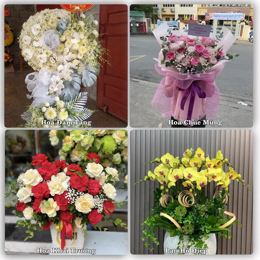 Mẫu hoa tươi dành cho khách đặt hoa tại Mường Khương