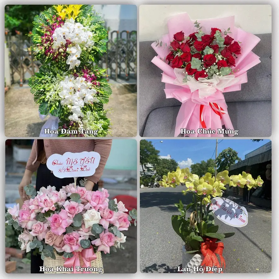 Tư vấn chọn hoa theo từng dịp tại Mường Xén, Kỳ Sơn