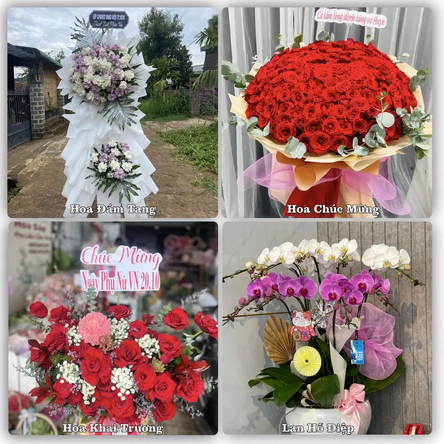 Mẫu hoa tươi dành cho khách đặt hoa tại Mỹ Lộc