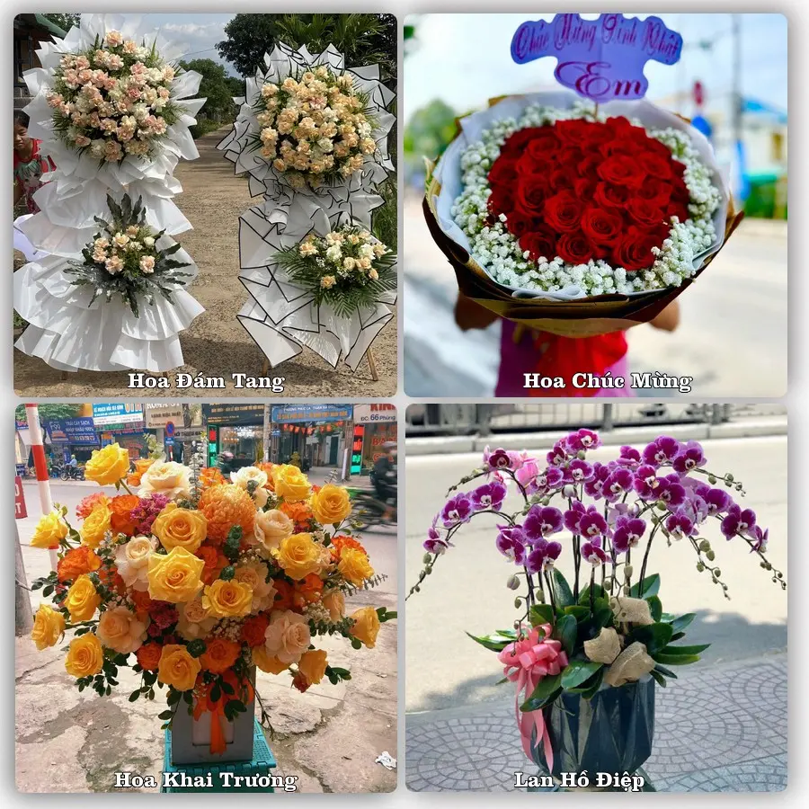 Mẫu hoa tươi dành cho khách đặt hoa tại N.T Phong Hải, Bảo Thắng