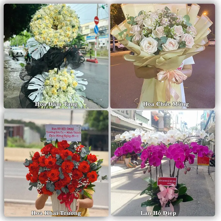 Tư vấn chọn hoa theo từng dịp tại N.T Phong Hải, Bảo Thắng