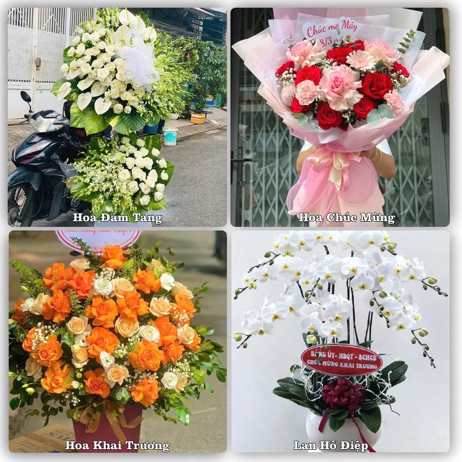 Tư vấn chọn hoa theo từng dịp tại Na Dương, Lộc Bình