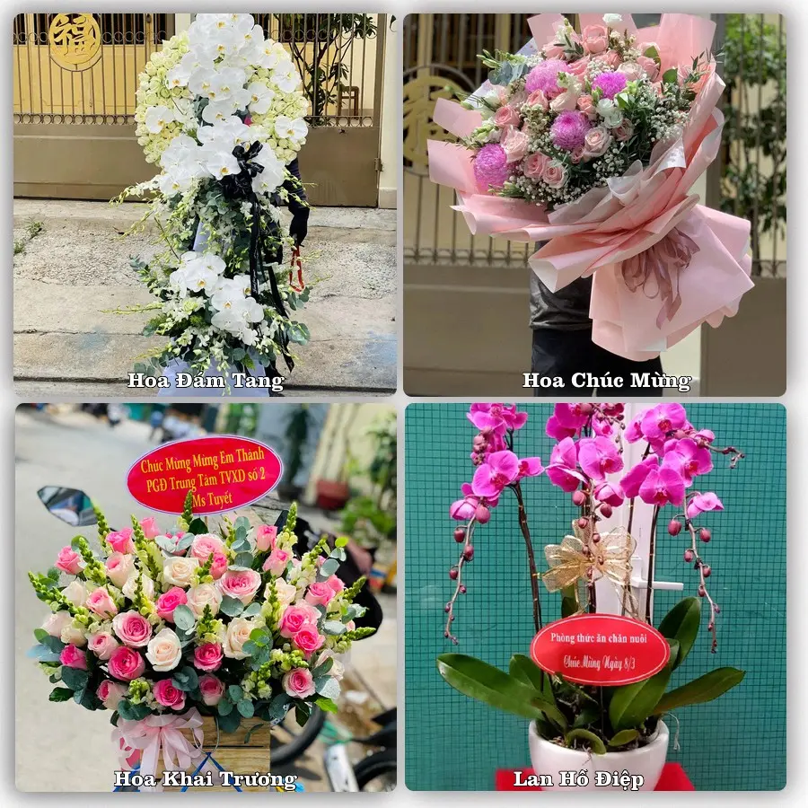 Dịch vụ đặt hoa online giao tận nơi tại Na Dương, Lộc Bình