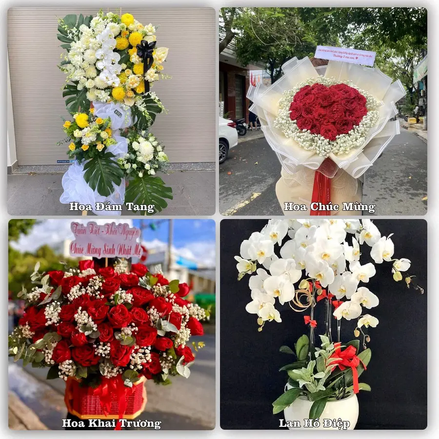 Tư vấn chọn hoa theo từng dịp tại Na Sầm, Văn Lãng
