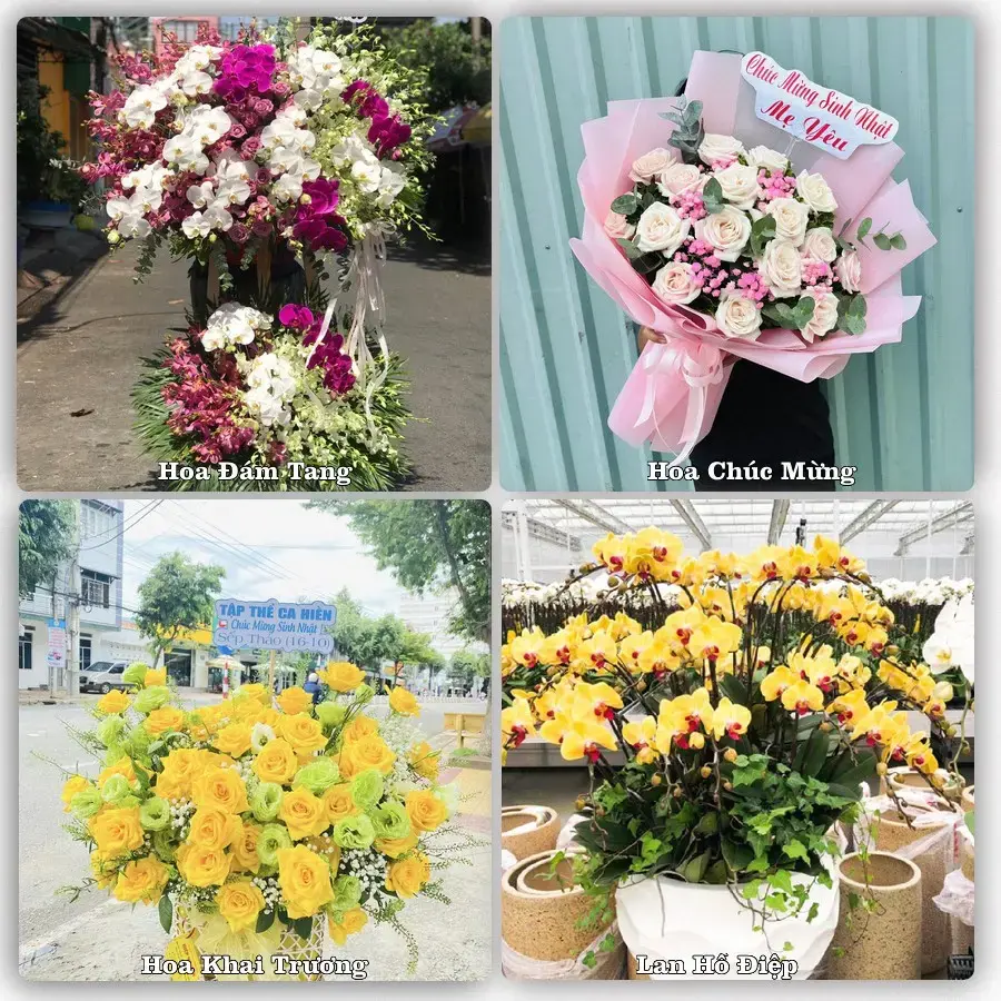 Tư vấn chọn hoa theo từng dịp tại Nếnh, Việt Yên